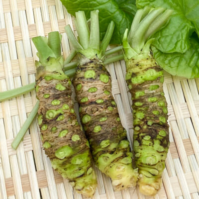 山形県産わさび「根わさび」100g