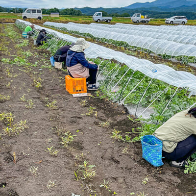 土と水にこだわる丁寧な栽培
