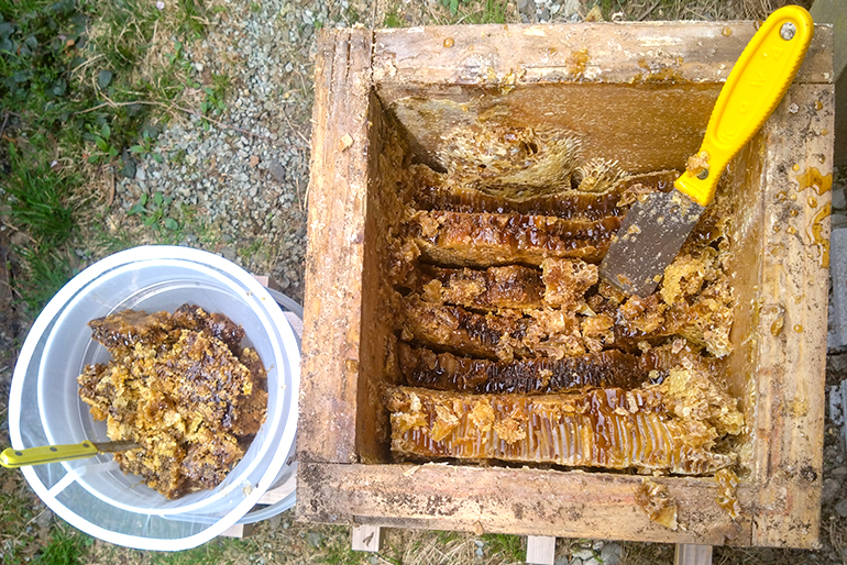 採蜜から瓶詰めまで、徹底したこだわり