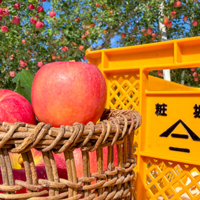 山形の豊かな秋の味覚!