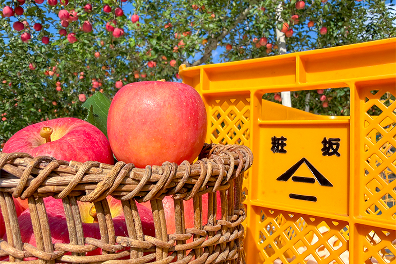 山形の豊かな秋の味覚！