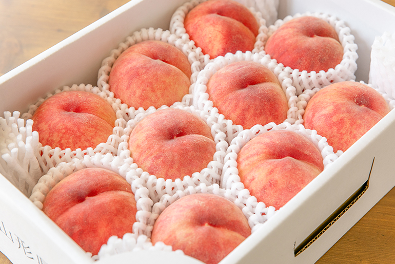 夏のご挨拶にもどうぞ！