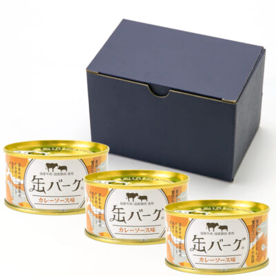 缶バーグ カレーソース味 3個