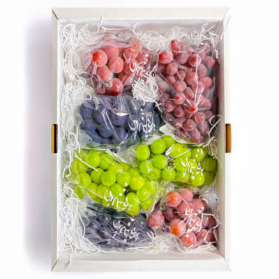 大粒ぶどう詰め合わせ 4kg